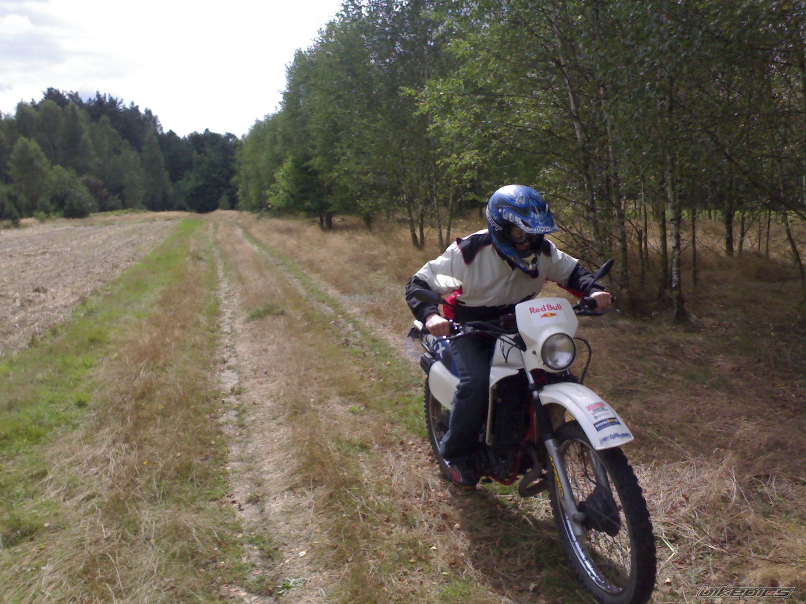 Photo 1465535