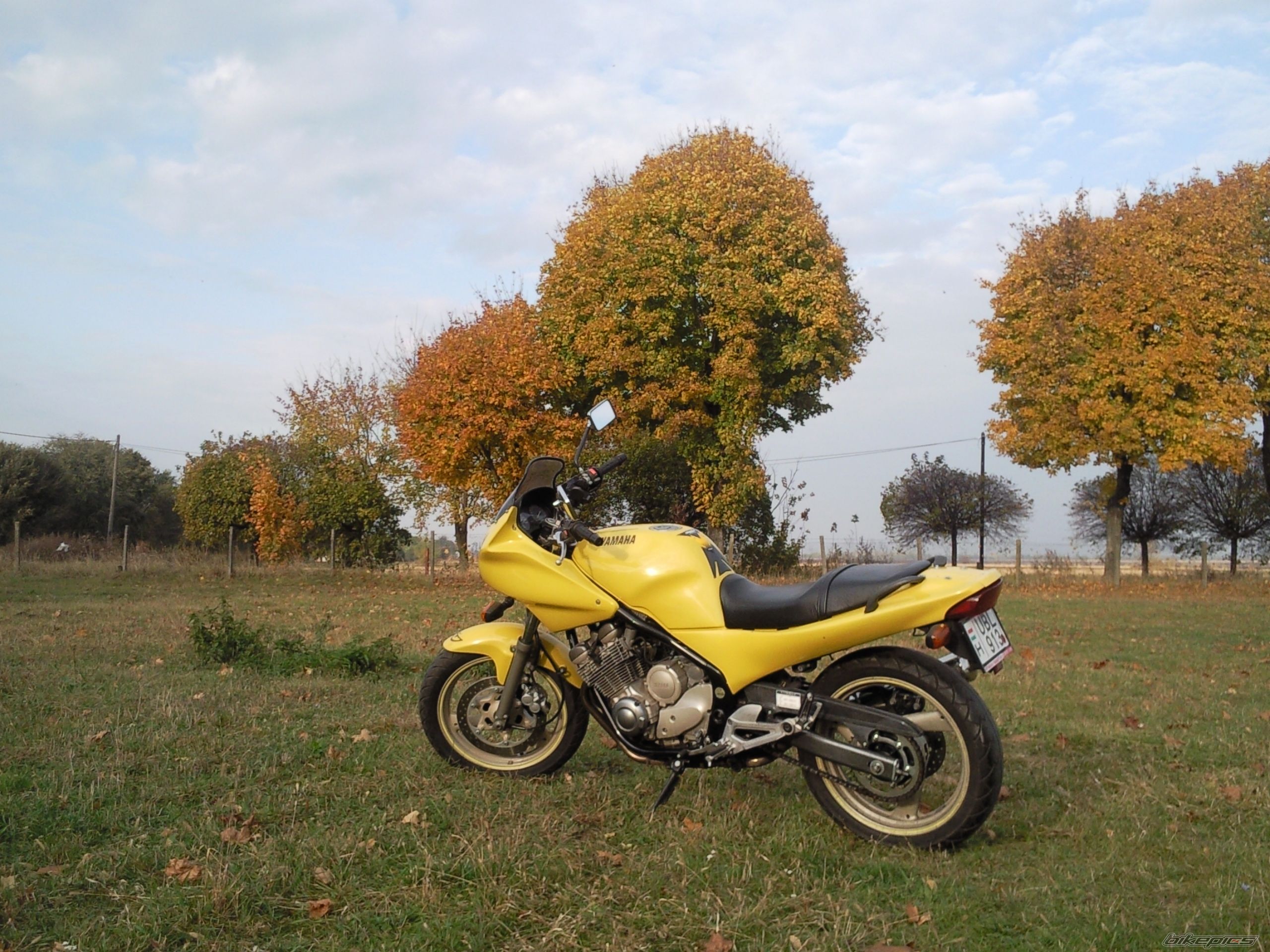 Photo 1465540