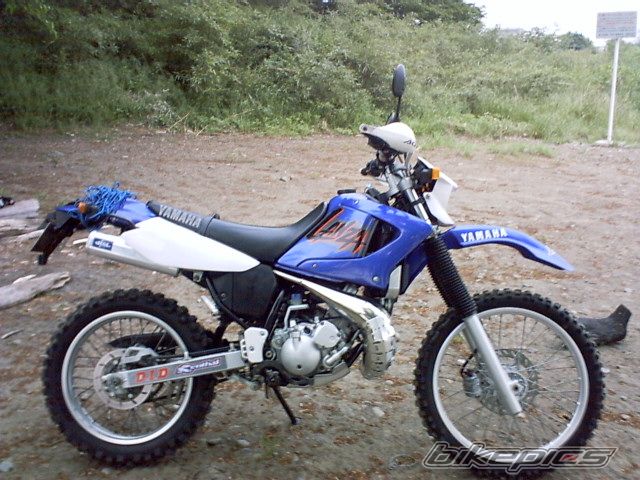 Photo 1465603