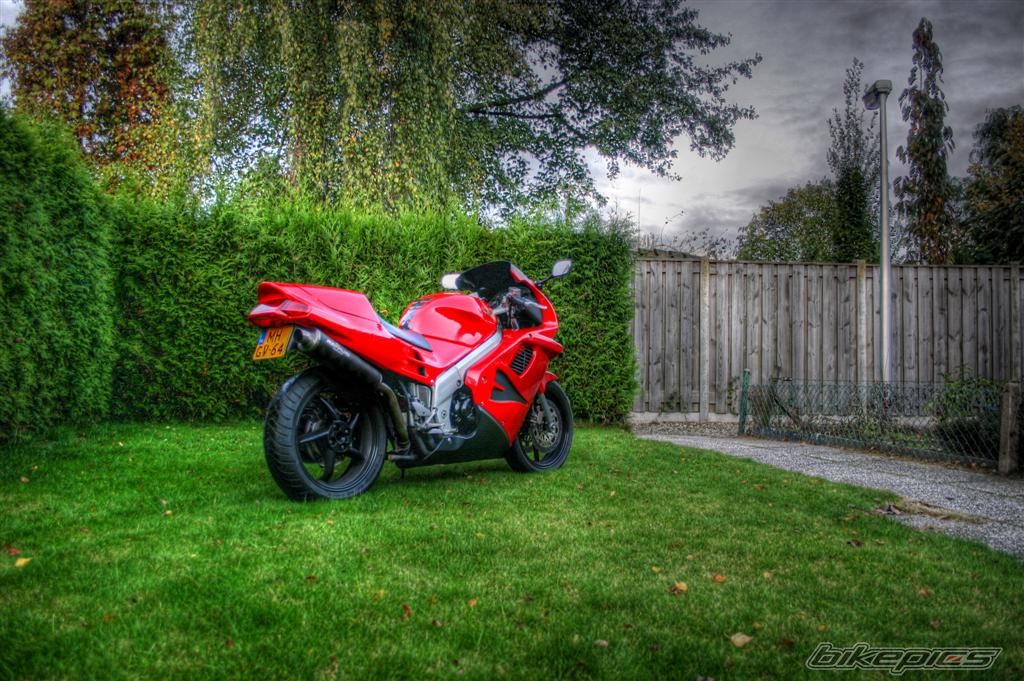 Photo 1465607