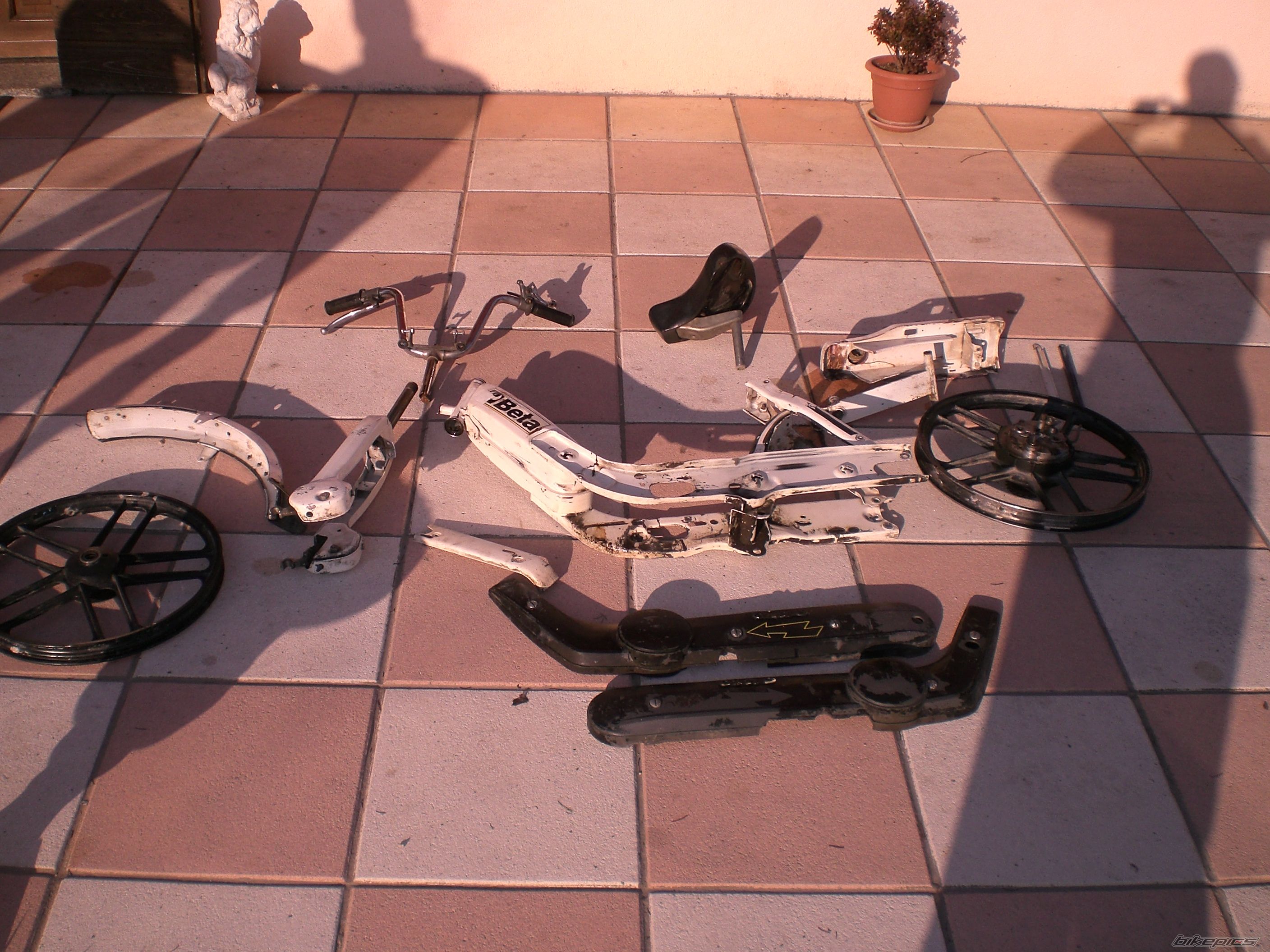 Photo 1465664