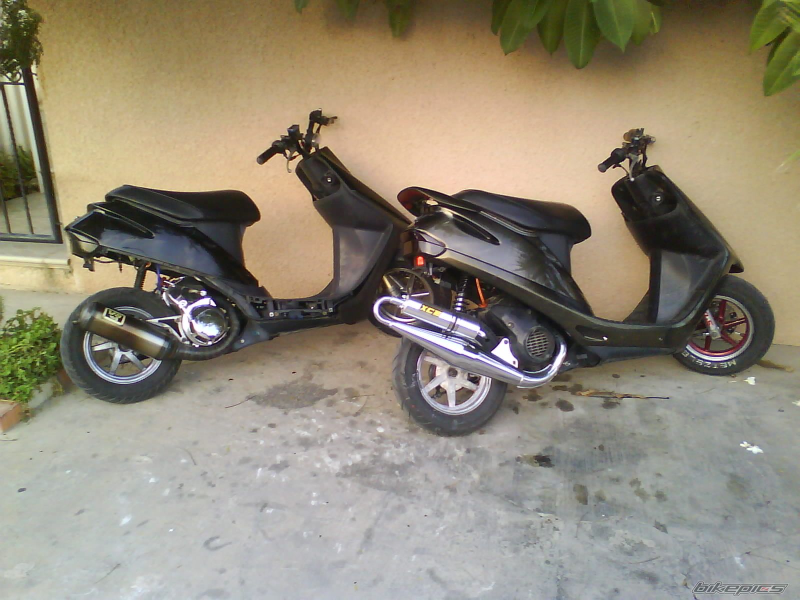 Photo 1465674
