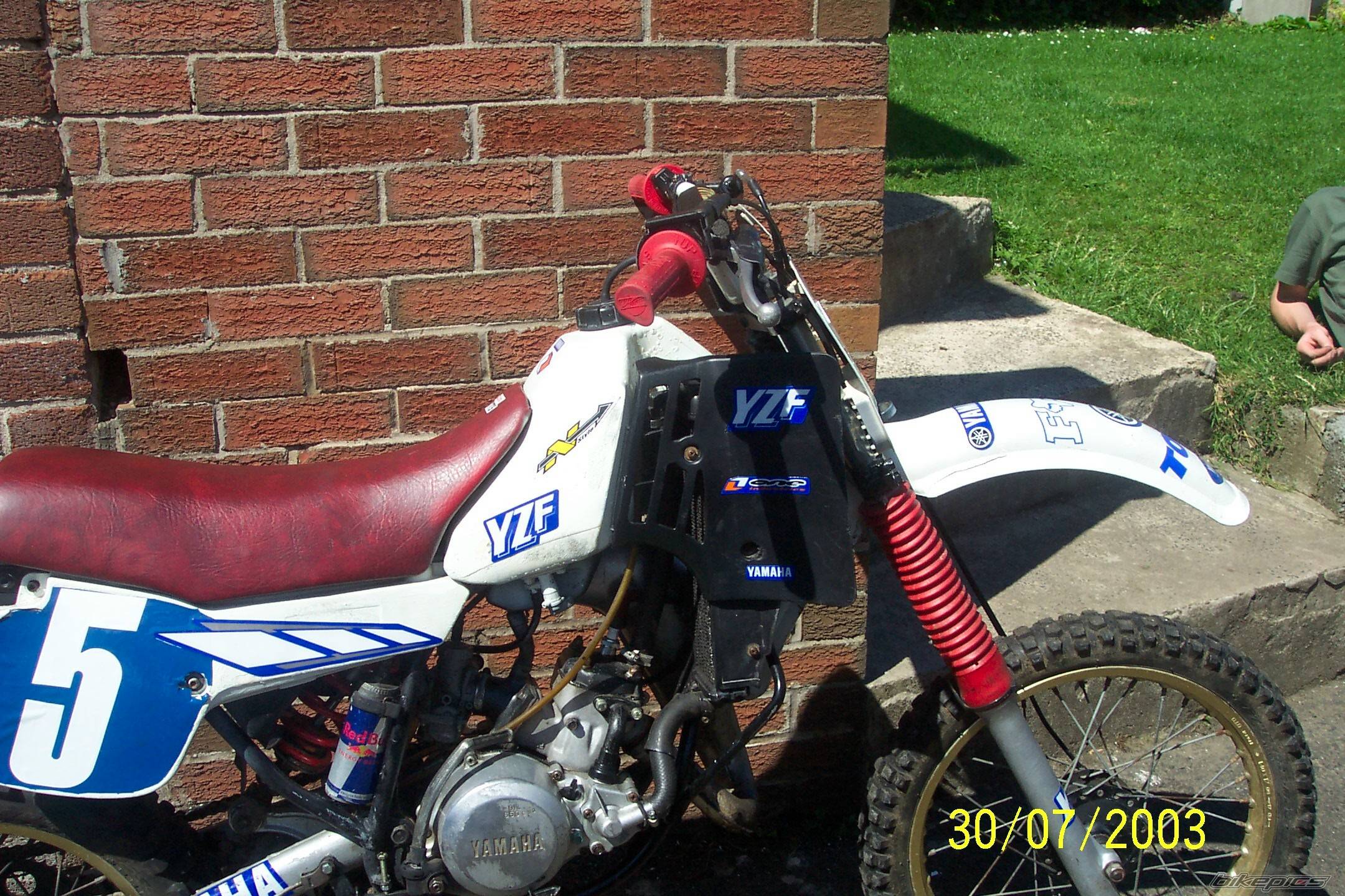 Photo 146568