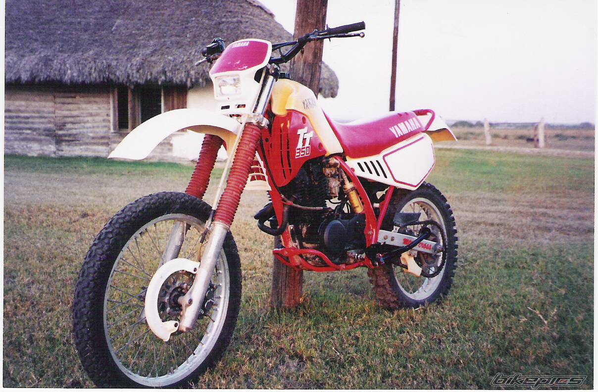 Bike Photo 146569