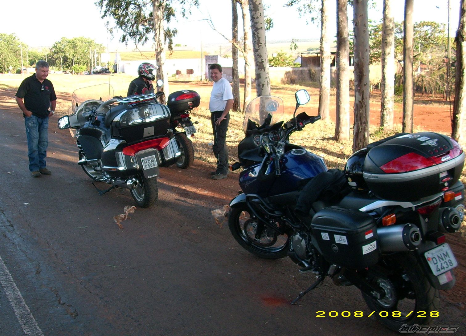 Photo 1465705