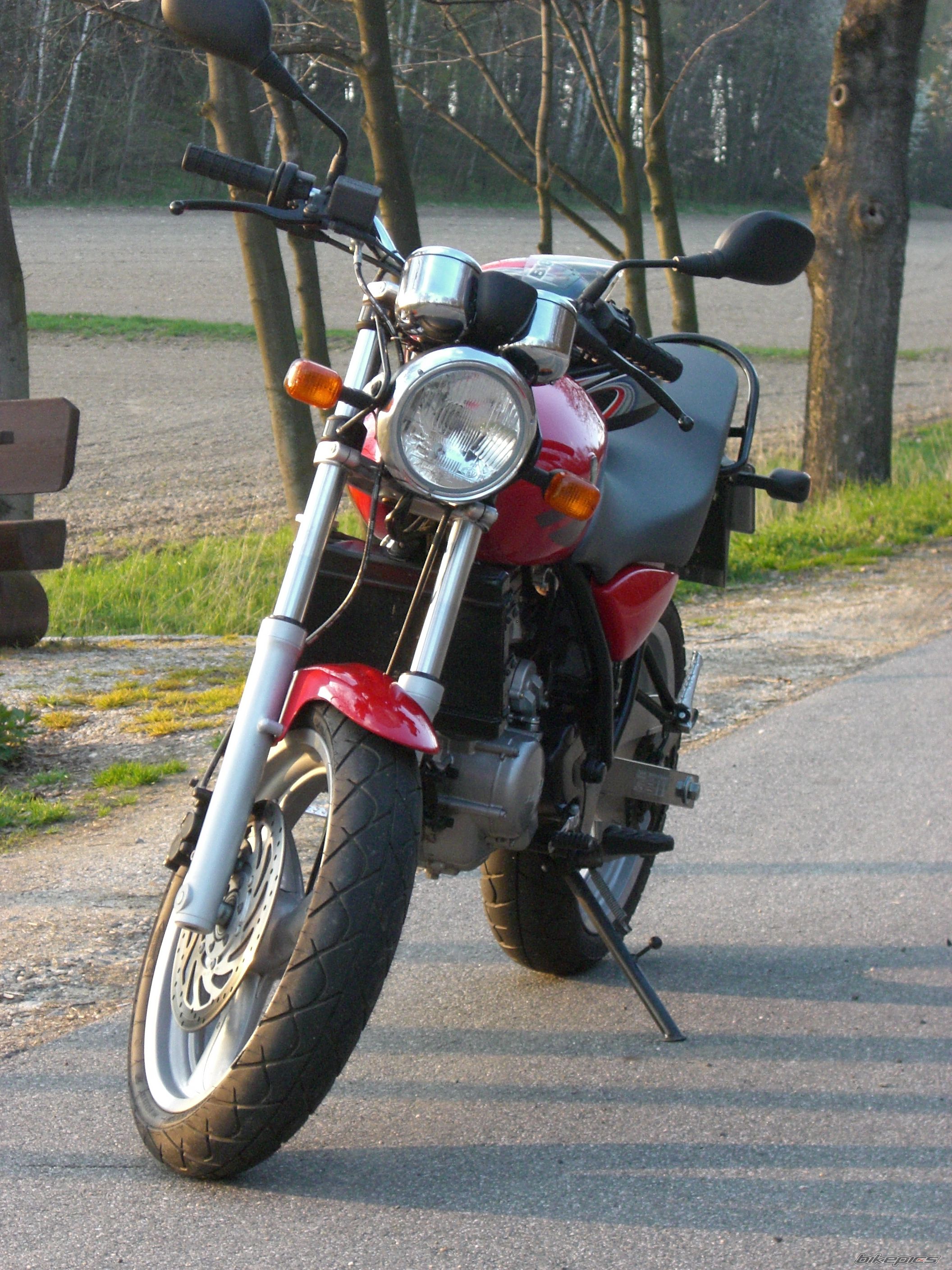 Photo 1465767