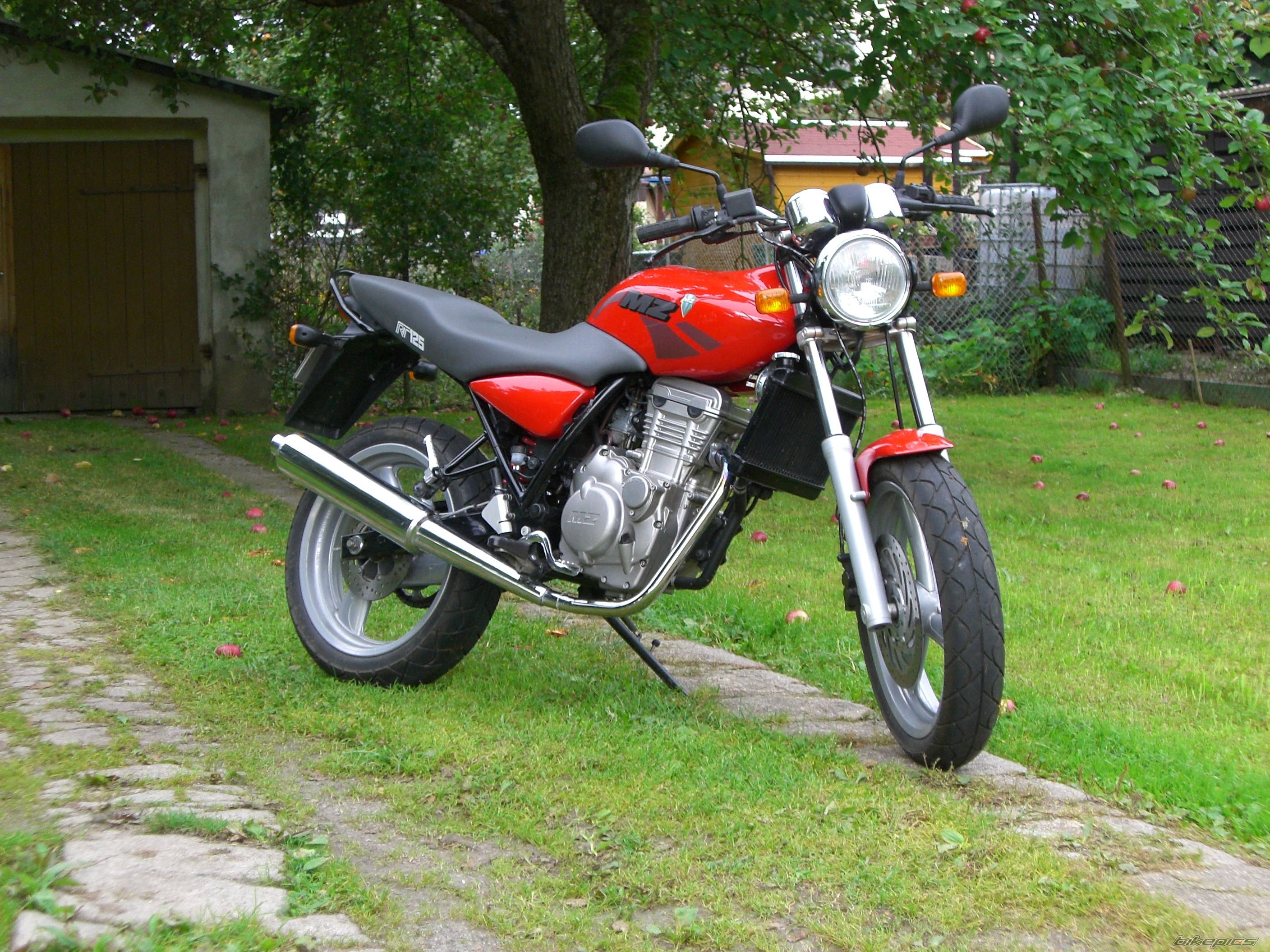 Photo 1465778