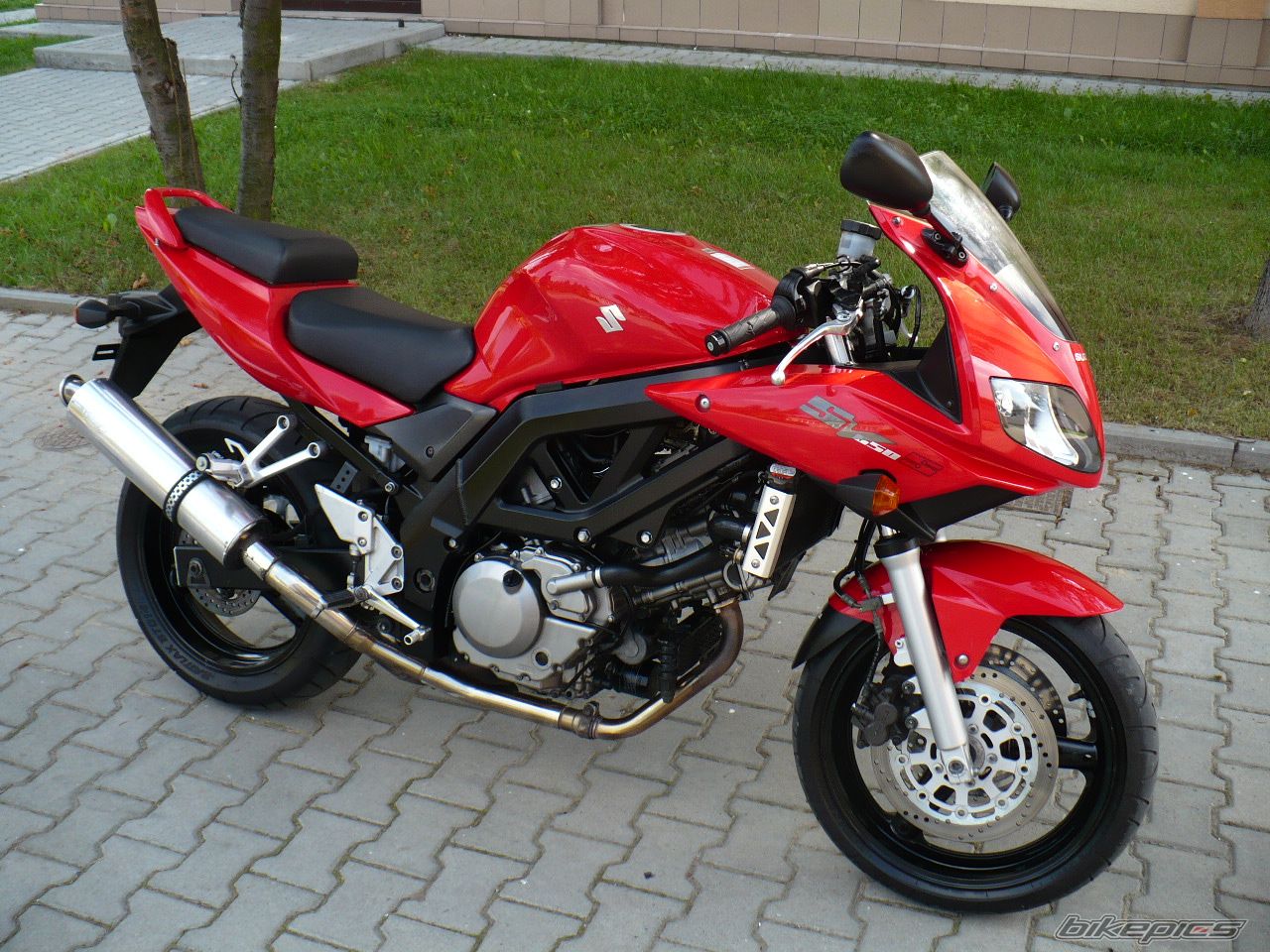 Photo 1465816