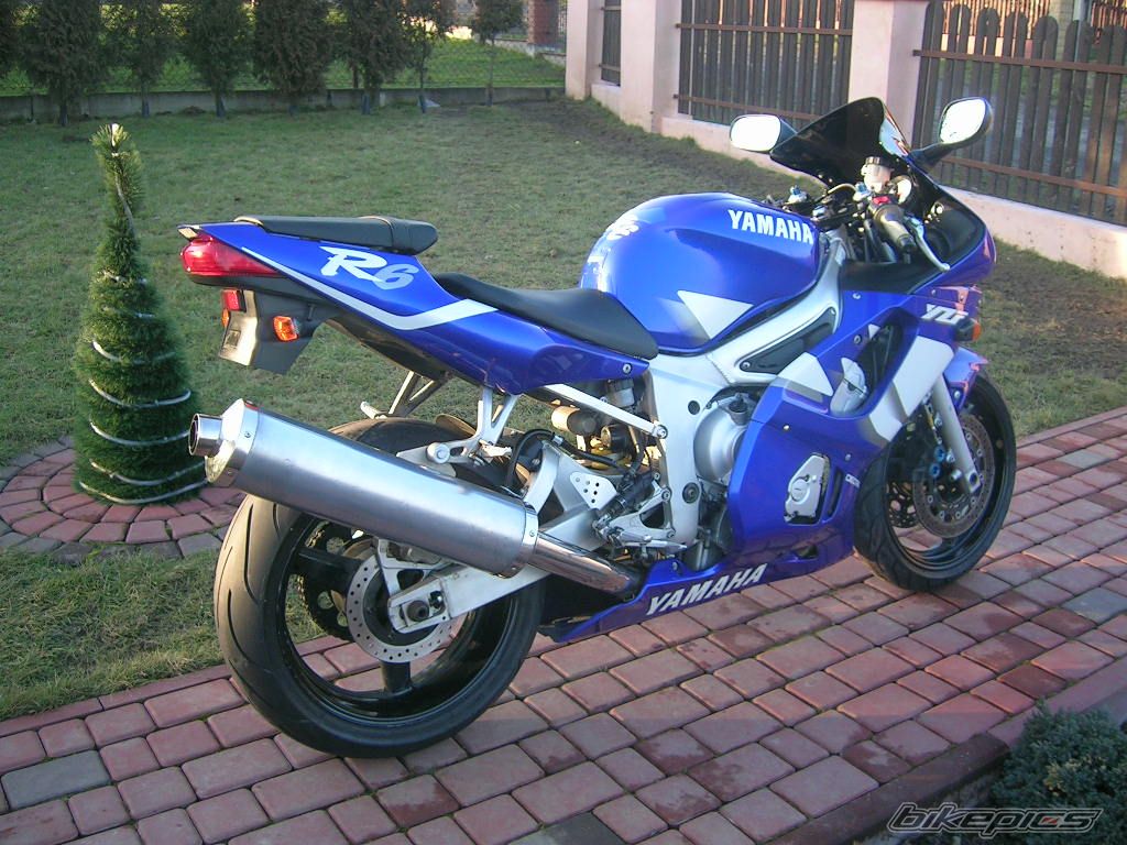 Photo 1465839