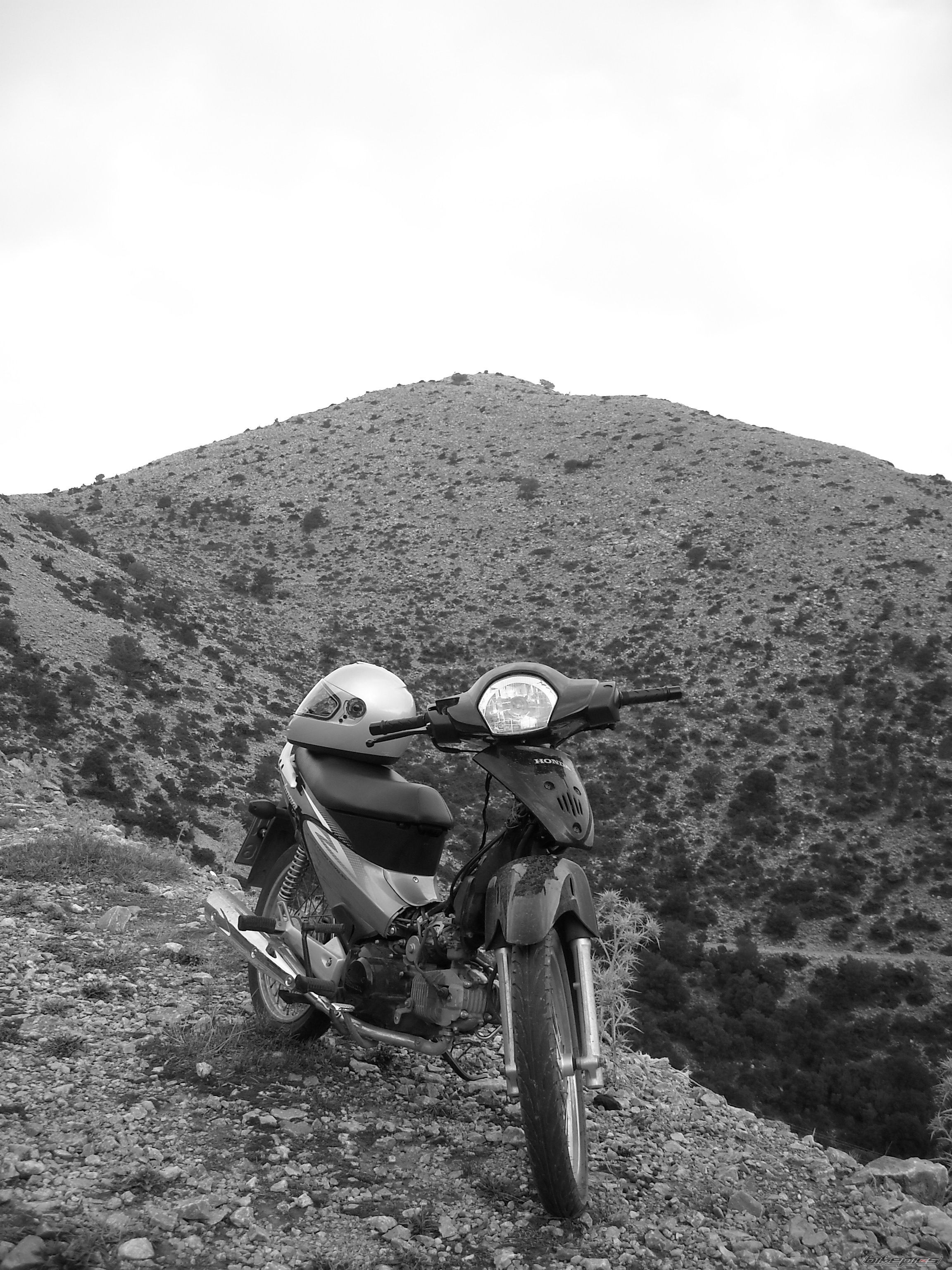 Photo 1465854