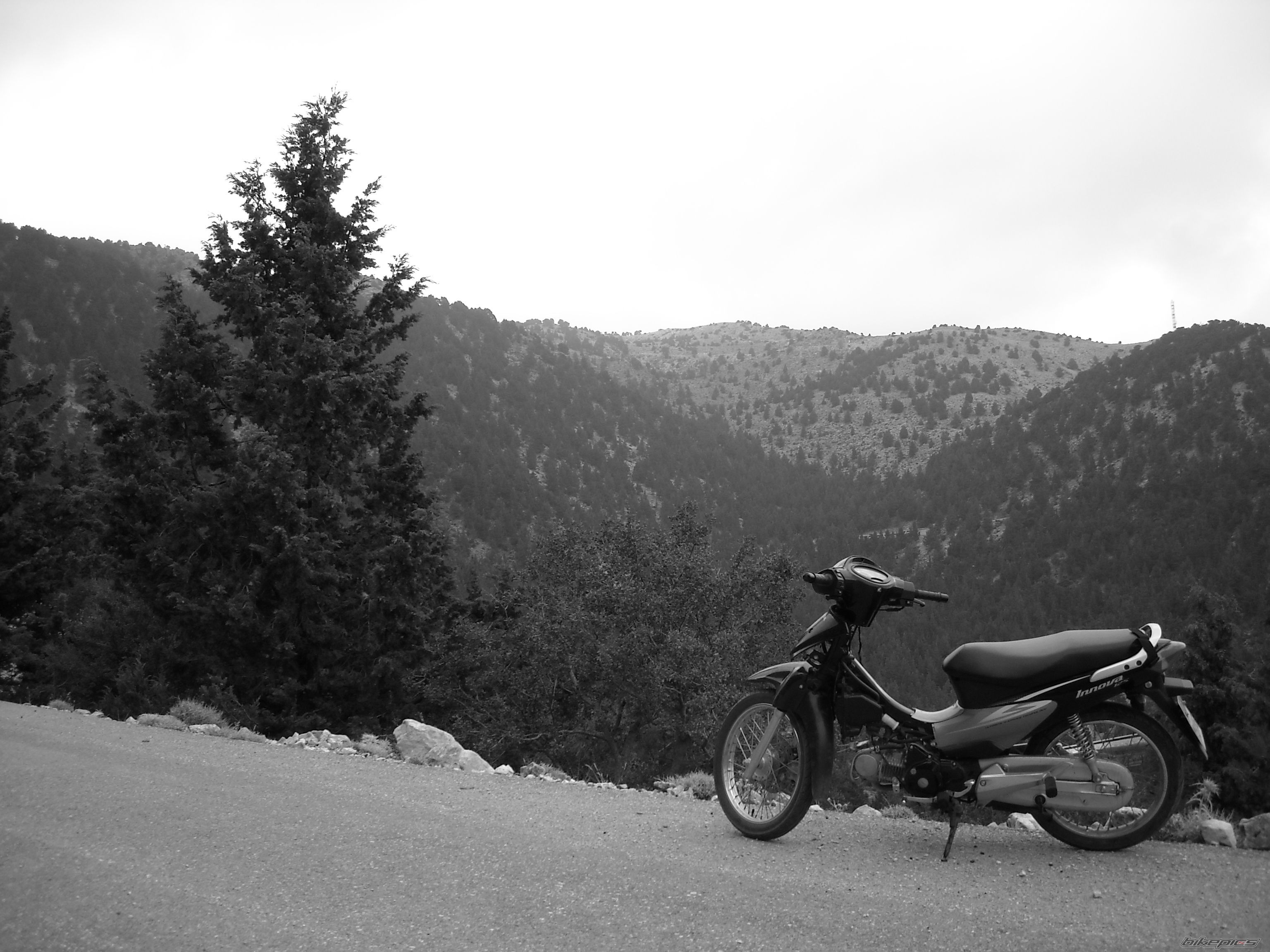 Photo 1465856