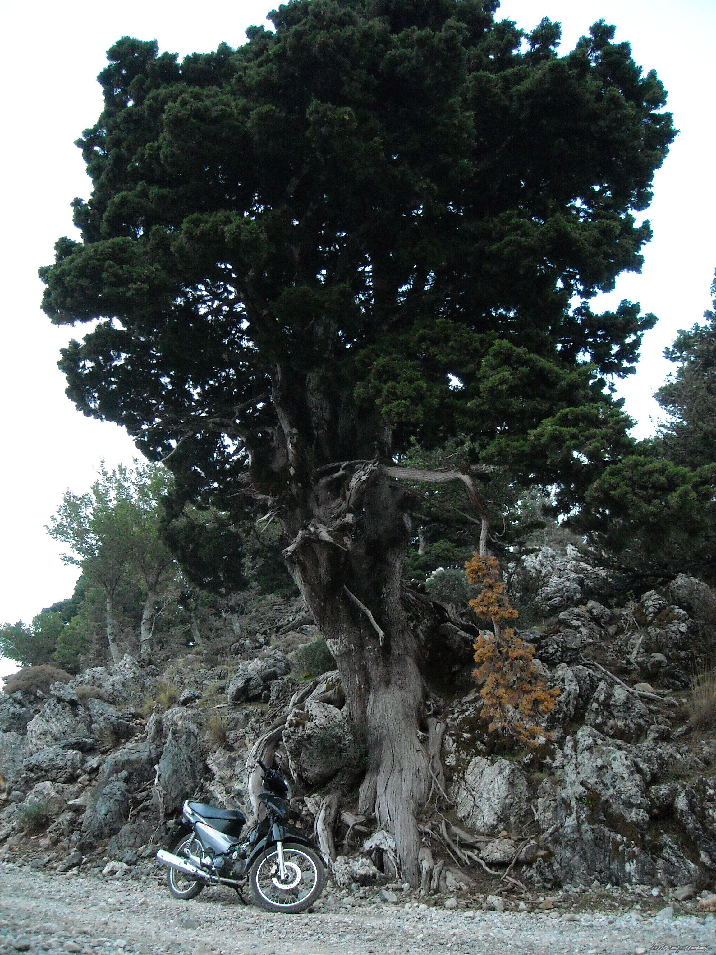Photo 1465859