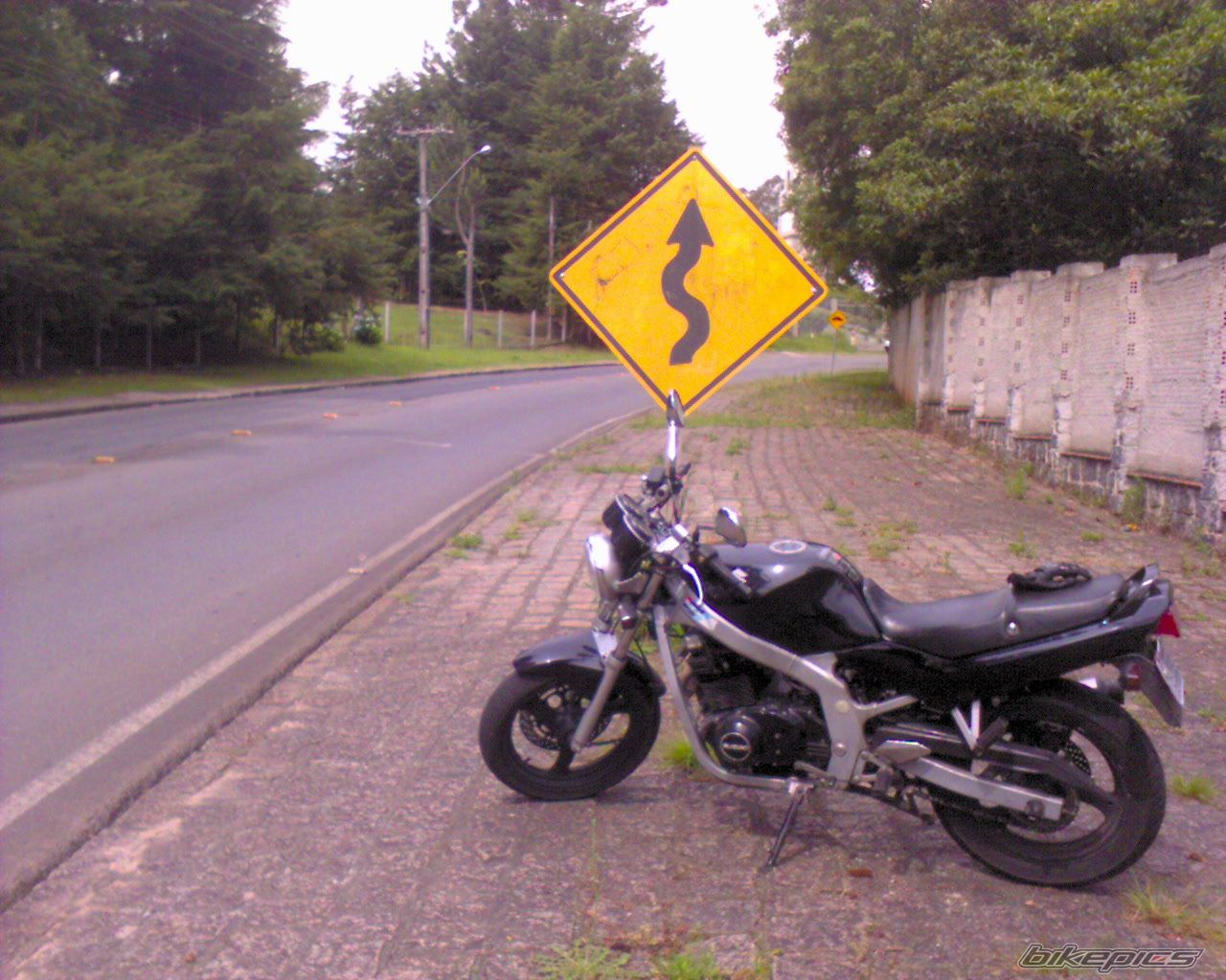 Photo 1465925