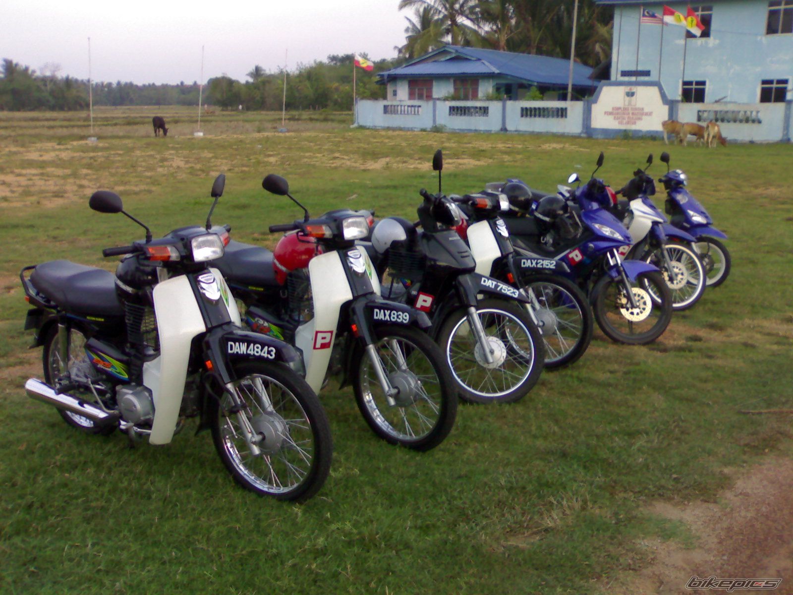 Photo 1465955