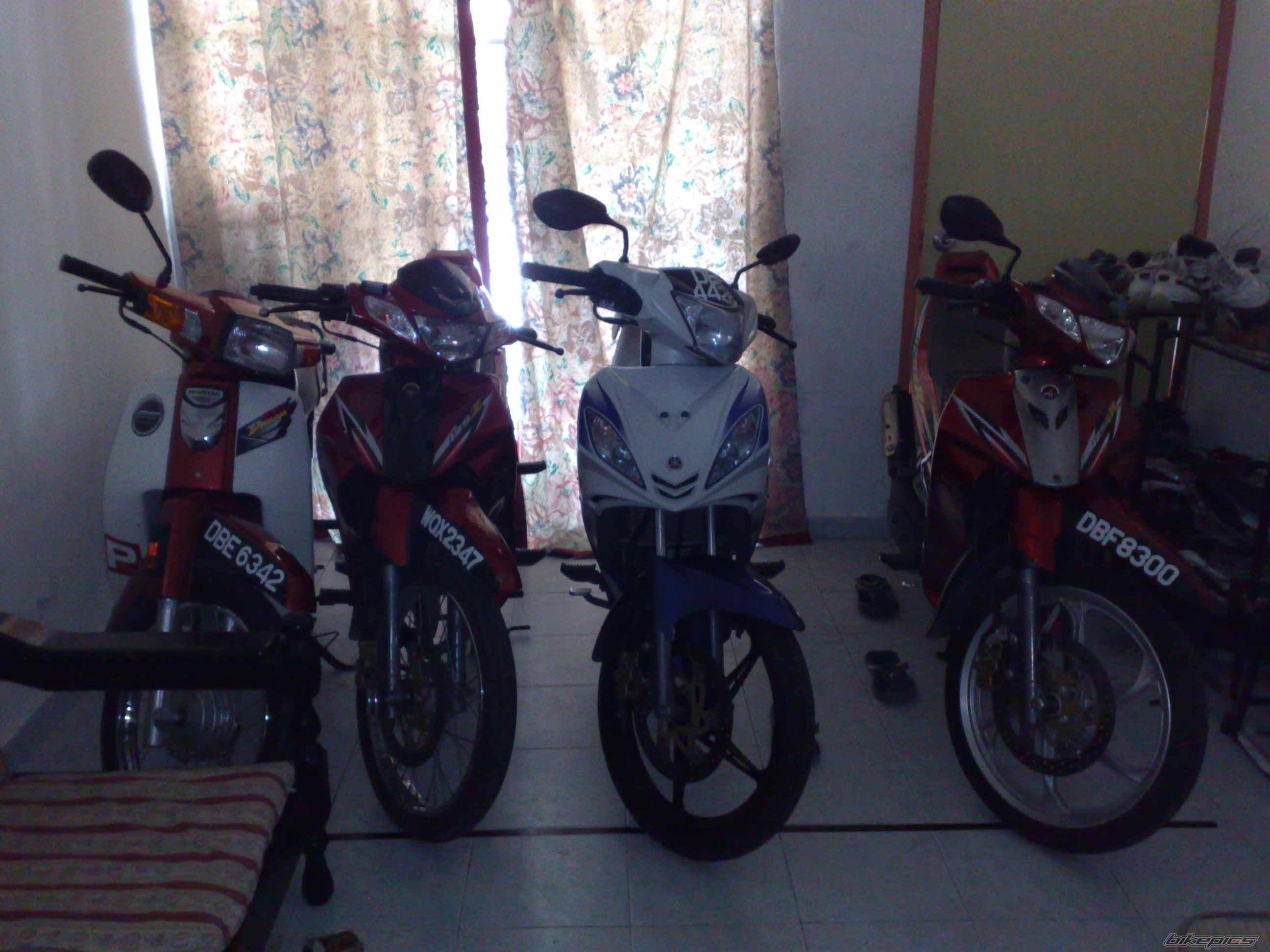Photo 1465956