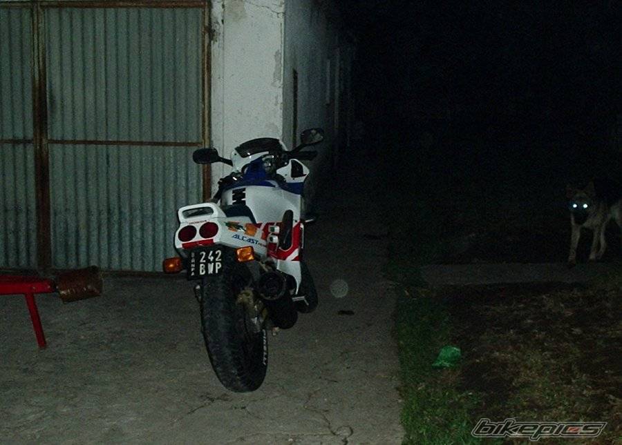 Photo 146599
