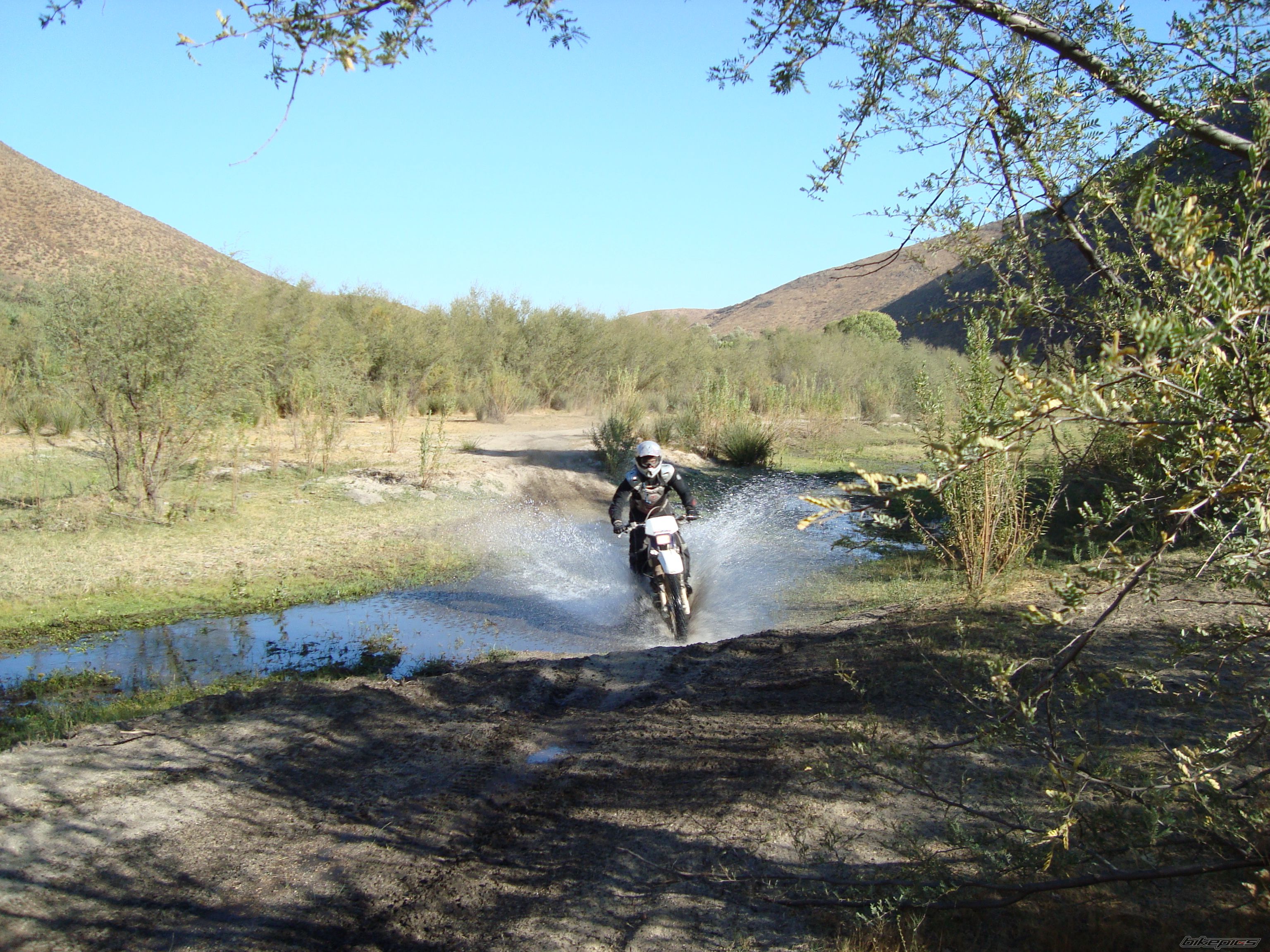 Photo 1466032