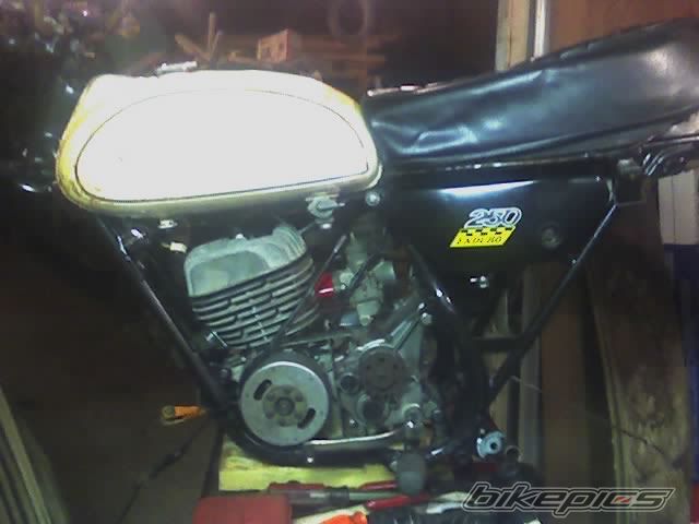 Photo 1466108