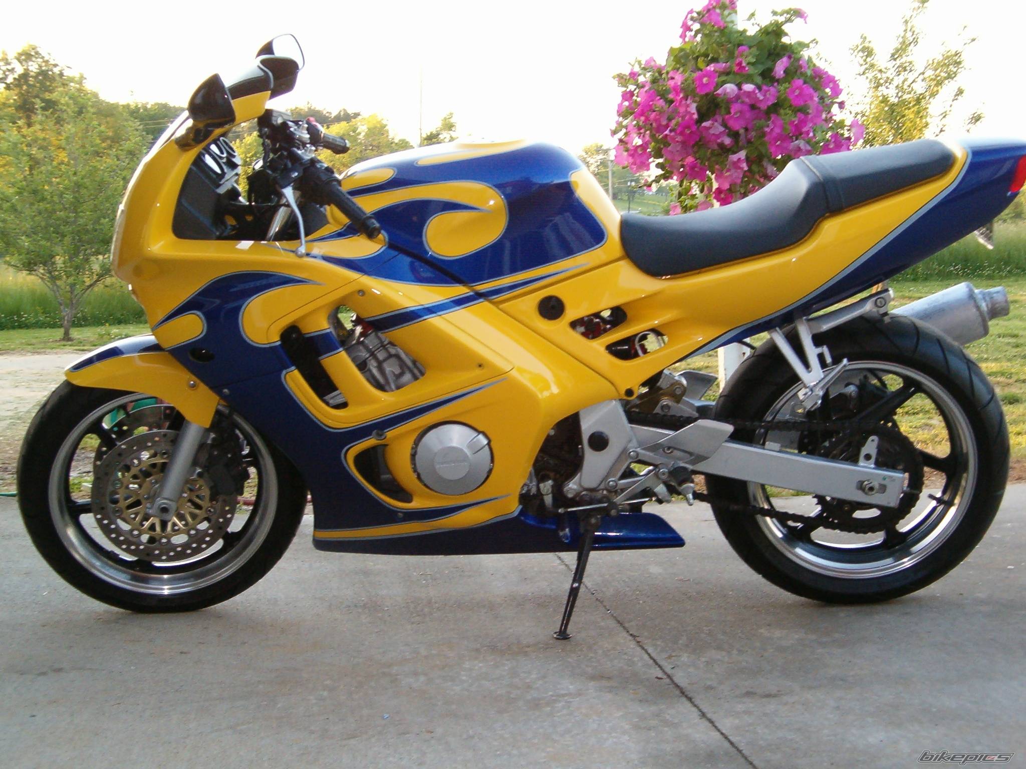 Photo 146611