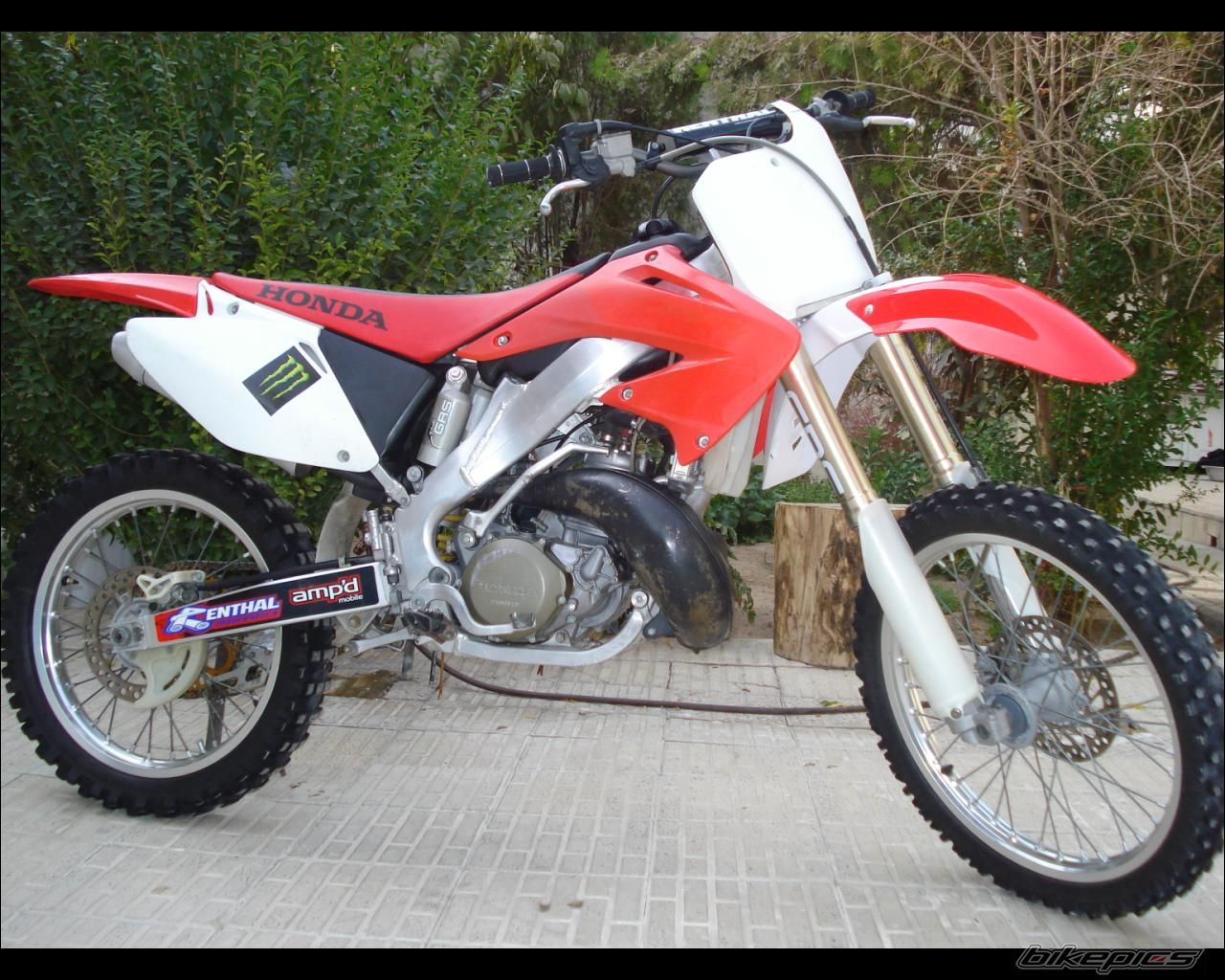 Bike Photo 1466146