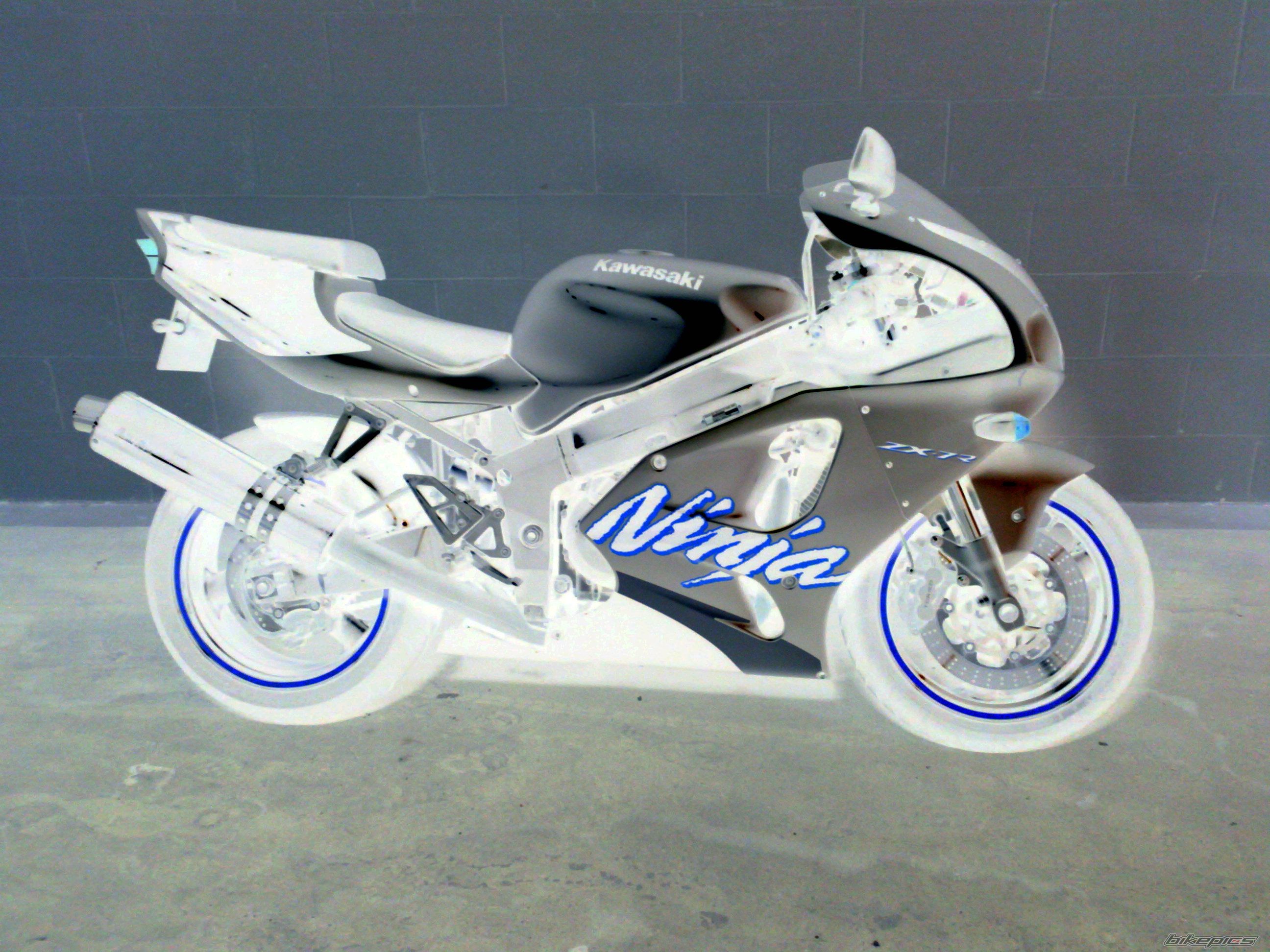 Photo 1466223