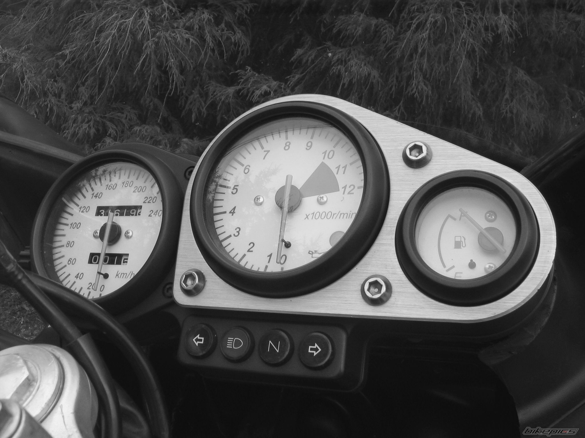 Photo 1466225