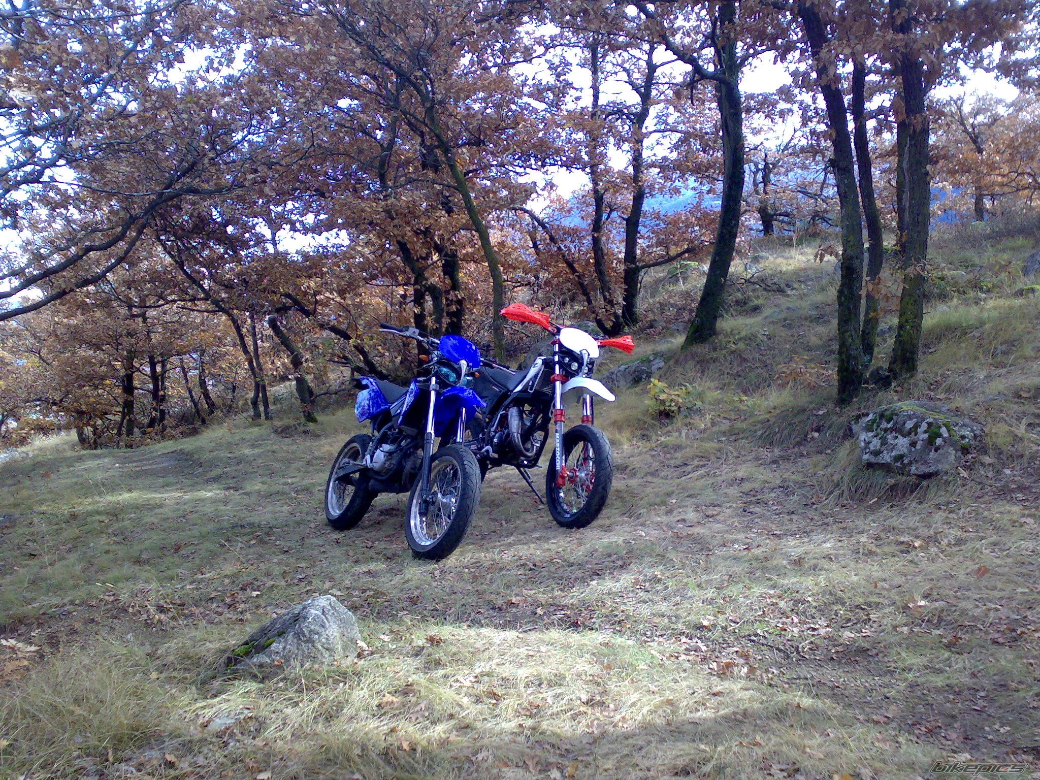 Photo 1466257