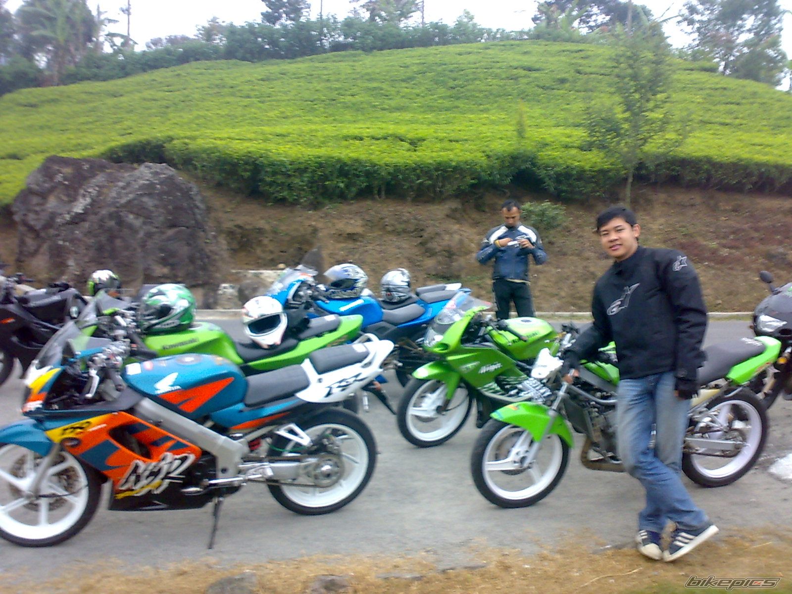 Photo 1466278