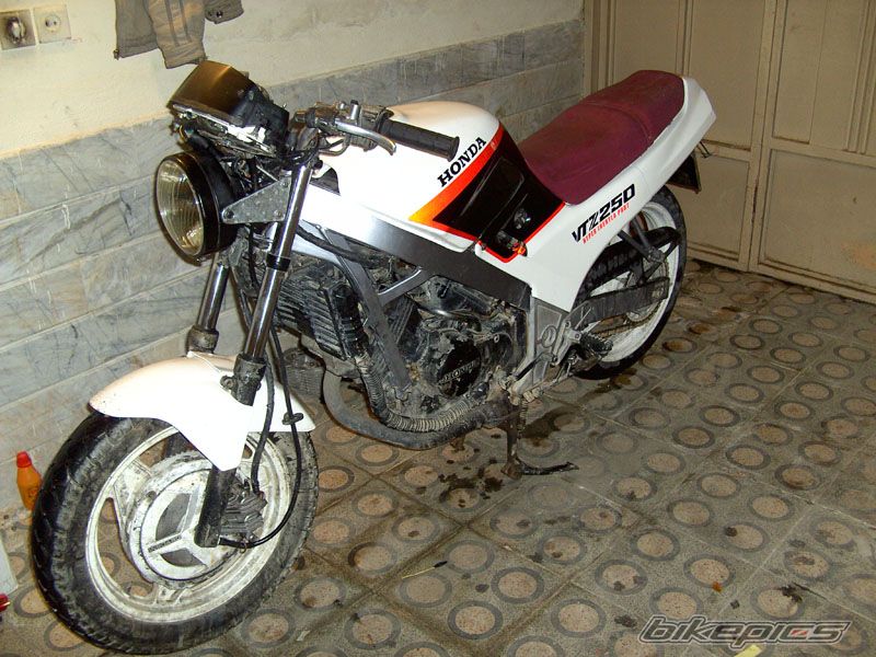 Photo 1466282
