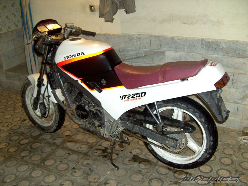 Photo 1466283