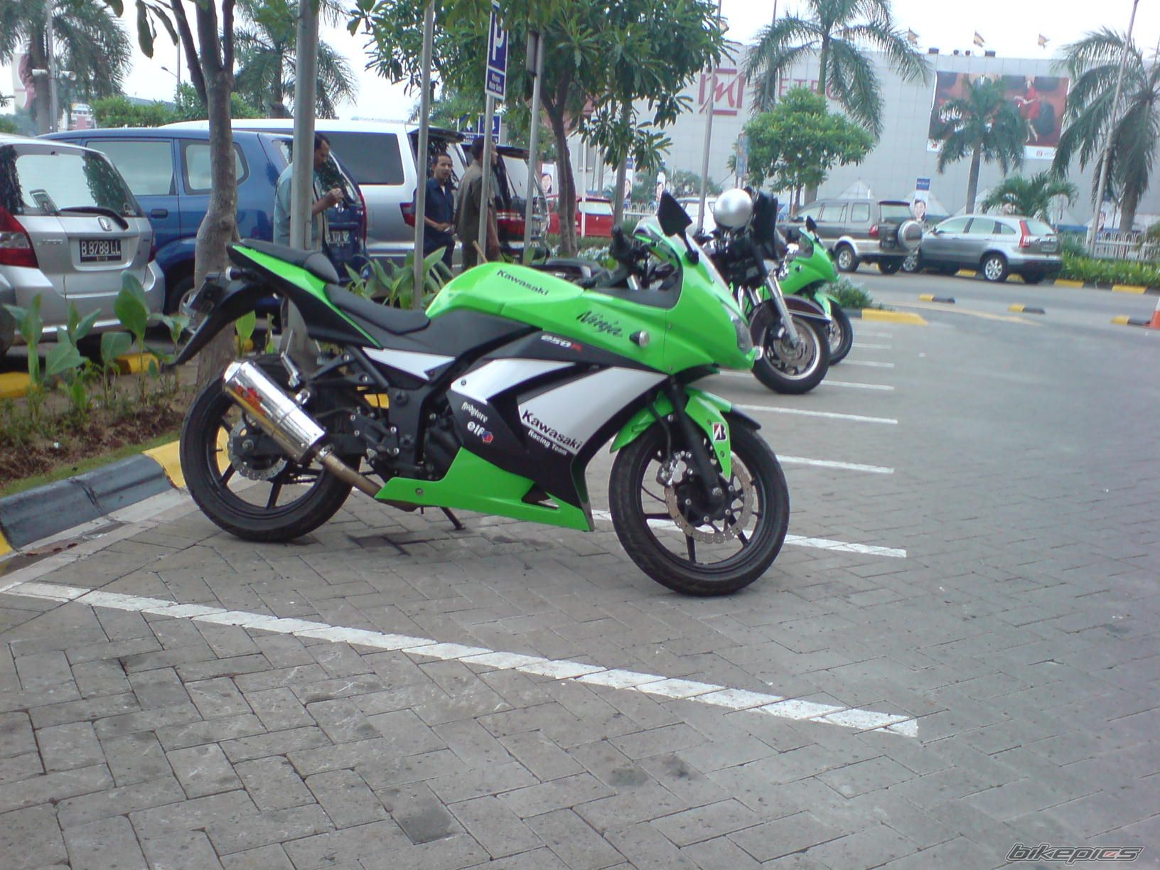 Photo 1466325