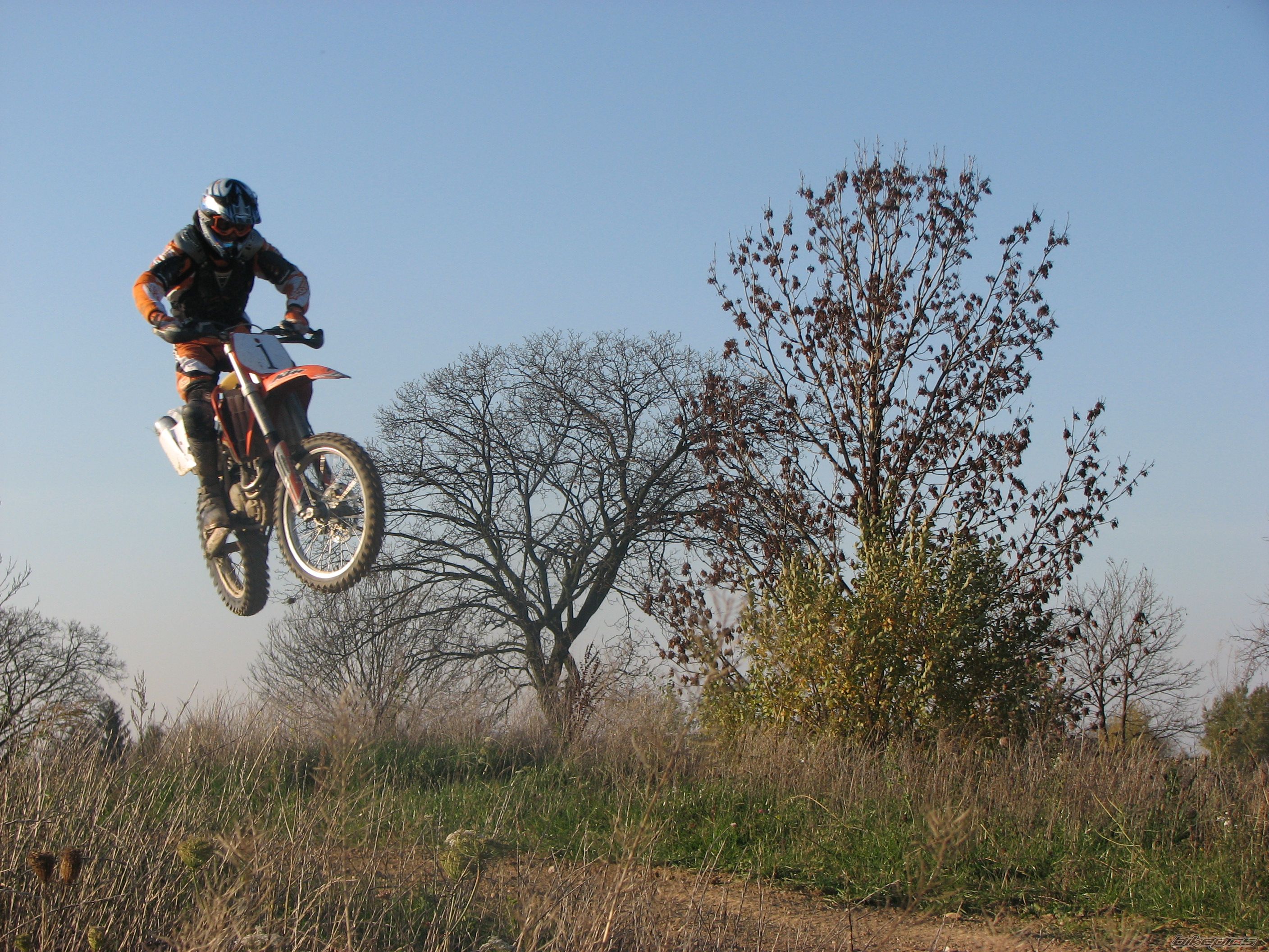 Photo 1466352