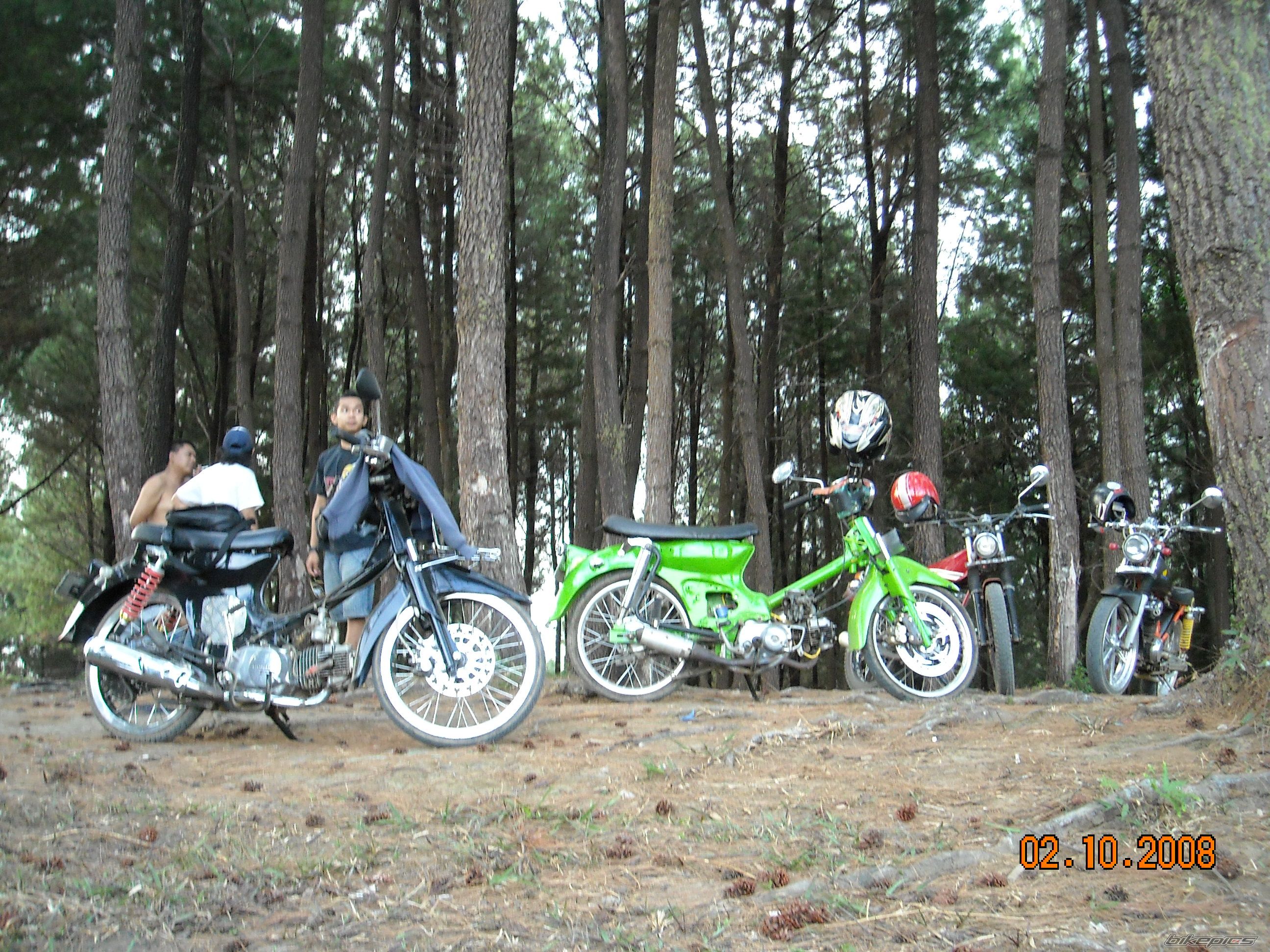 Photo 1466423