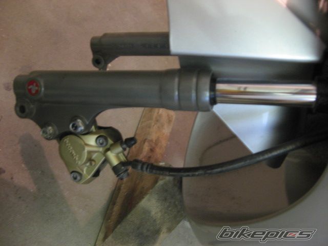 Photo 1466440