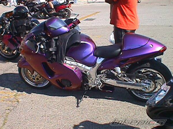 Photo 146645