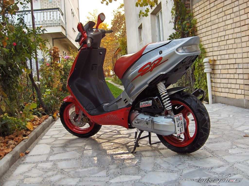Photo 1466503