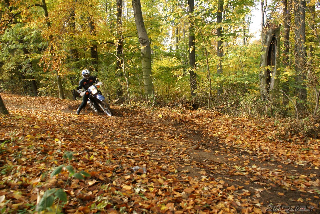 Bike Photo 1466784