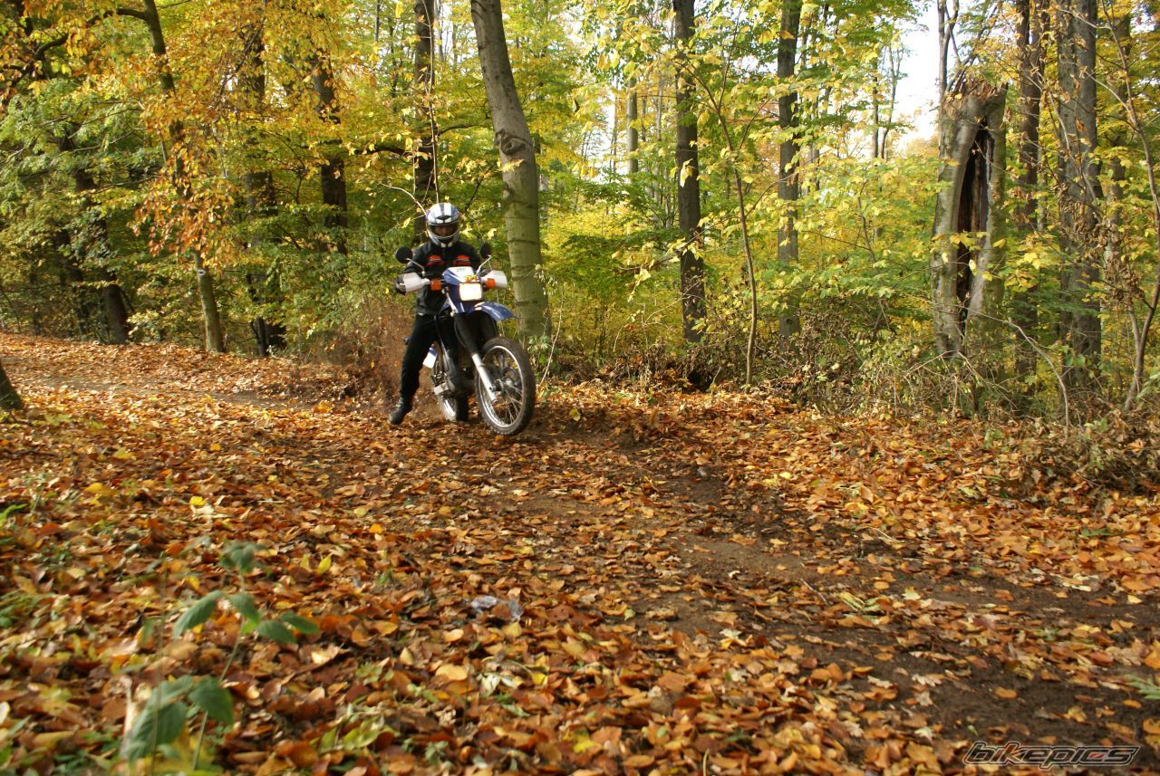 Bike Photo 1466786