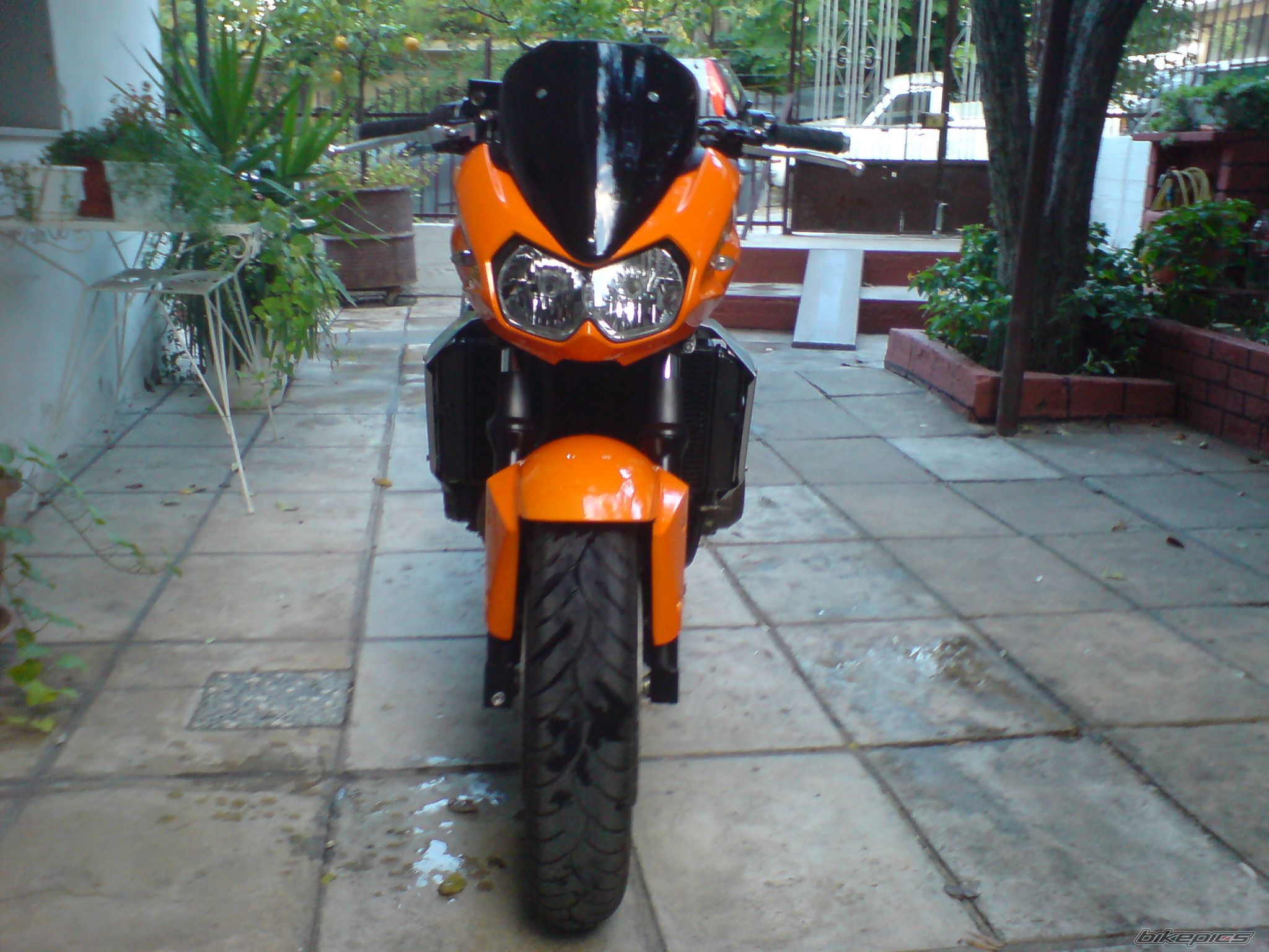 Photo 1466841
