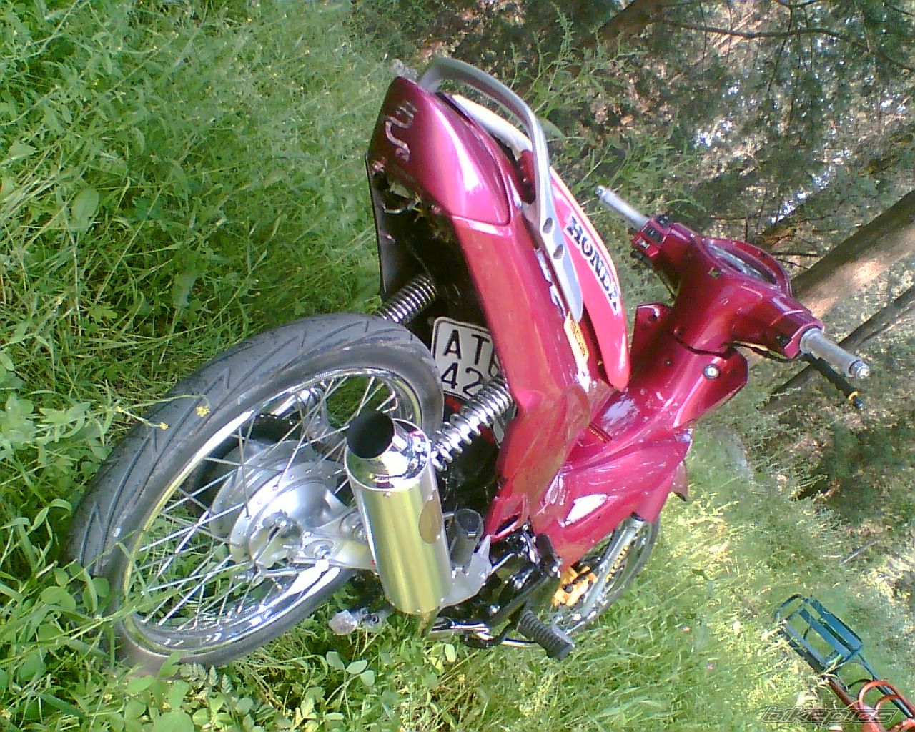 Bike Photo 1466846