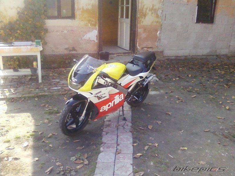 Photo 1466886