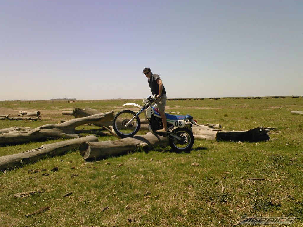 Photo 1467067