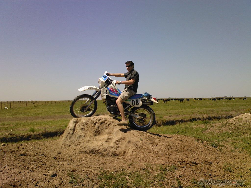 Photo 1467072