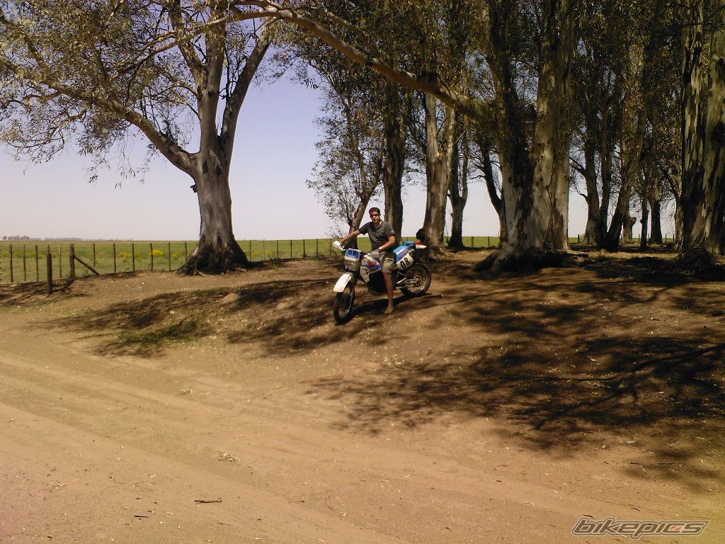 Photo 1467073