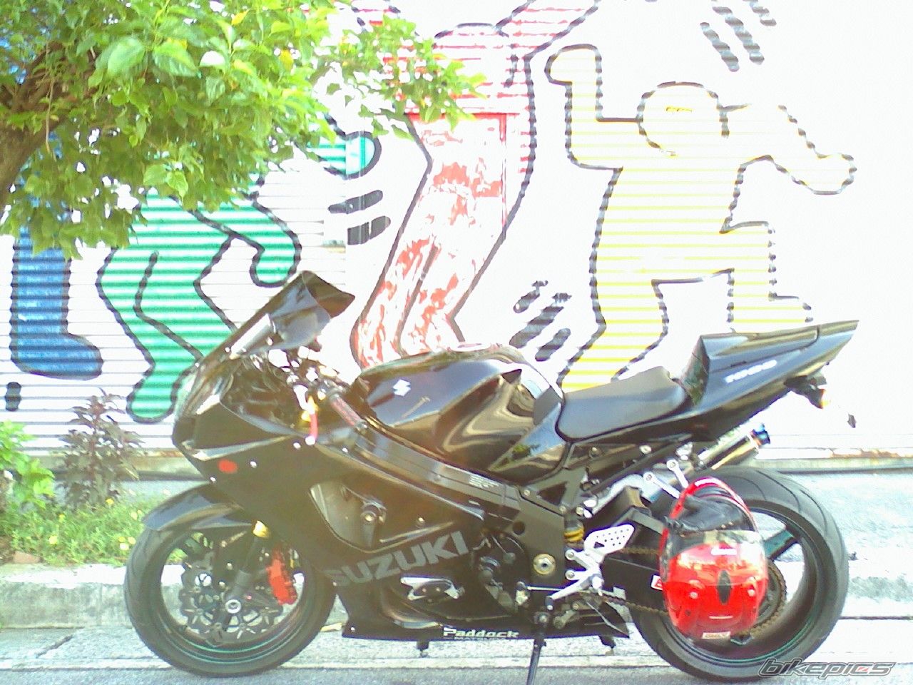 Photo 1467089
