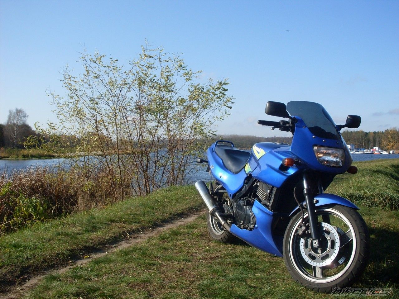 Photo 1467116