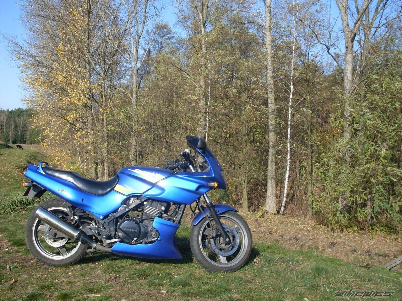 Photo 1467120
