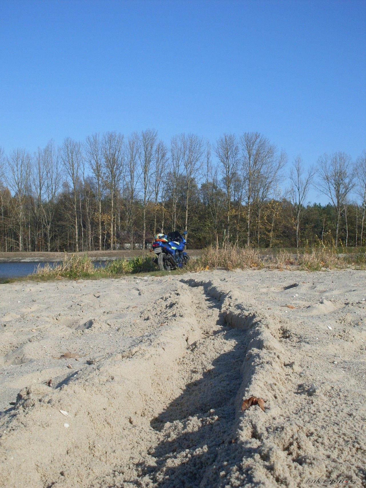 Photo 1467123