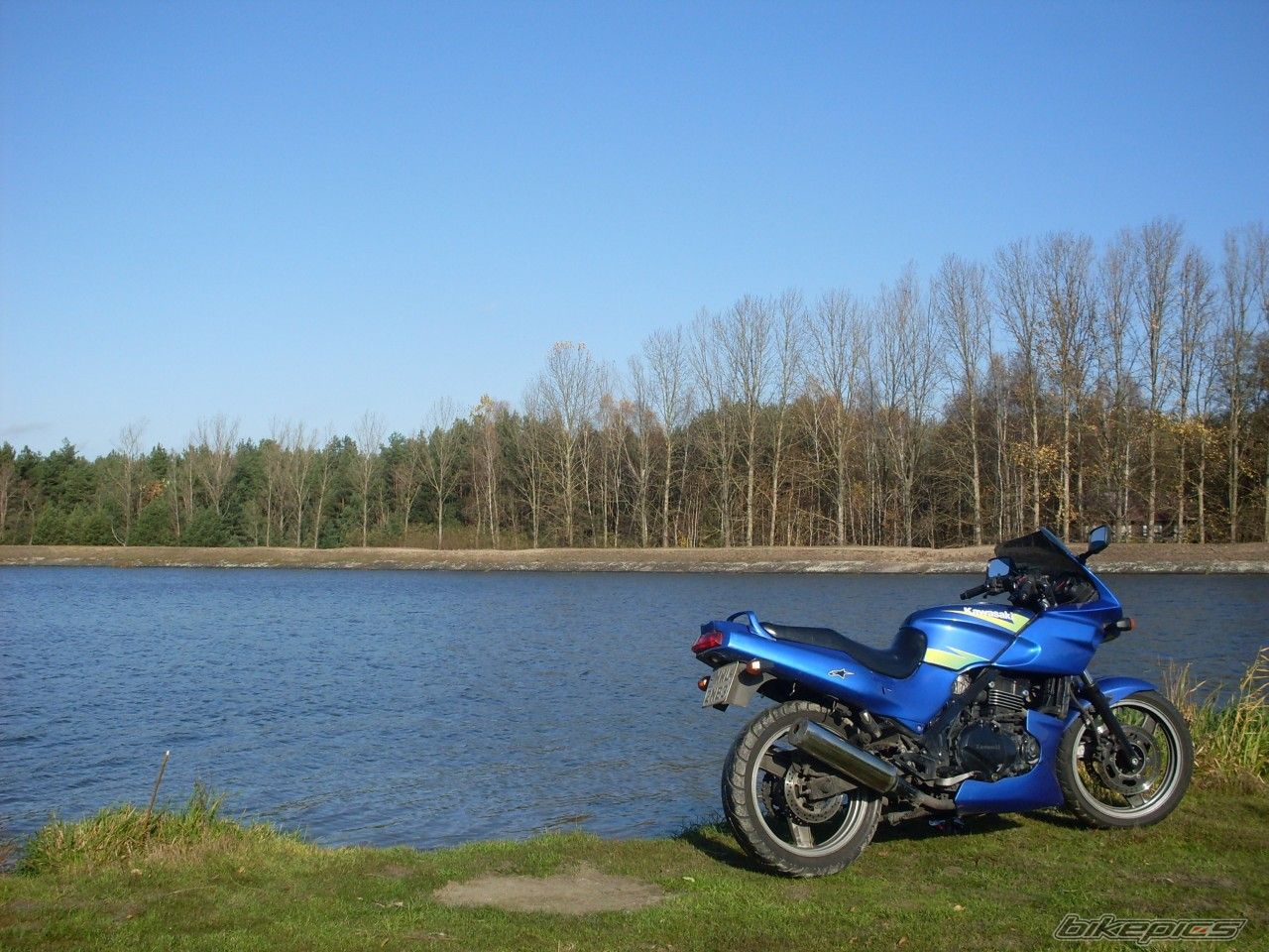 Photo 1467125