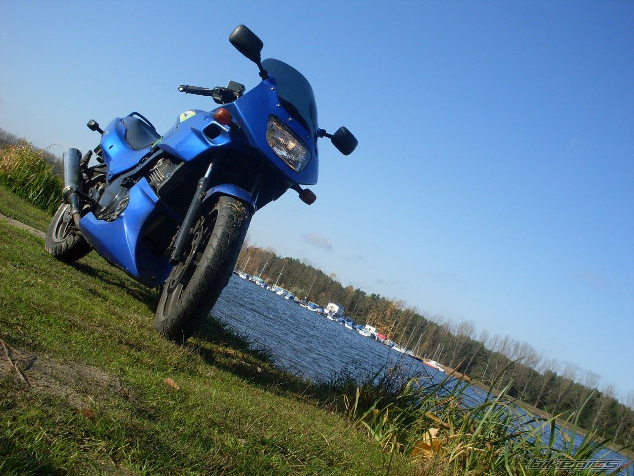 Photo 1467128